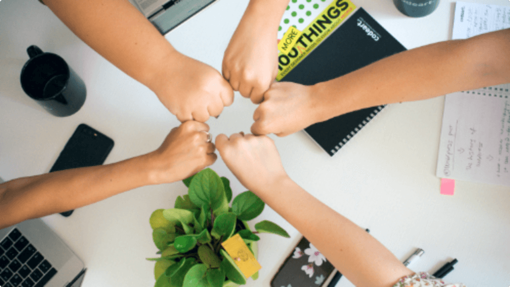 Mature Industry Experience